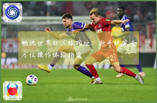 畅玩世界杯买球网址：新手玩家全方位操作体验指南