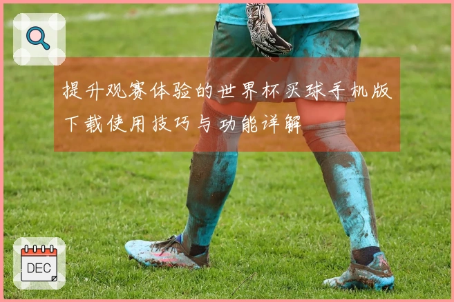提升观赛体验的世界杯买球手机版下载使用技巧与功能详解