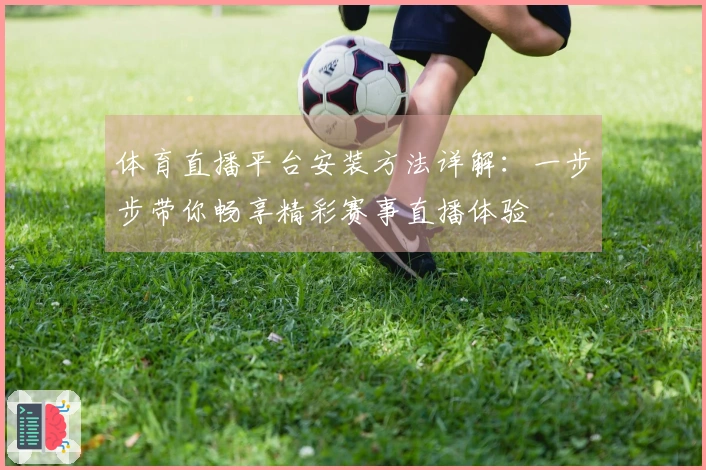 体育直播平台安装方法详解：一步步带你畅享精彩赛事直播体验