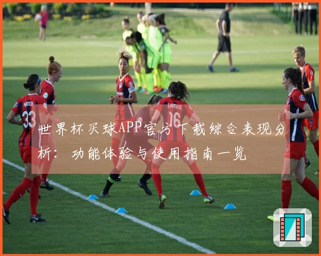 世界杯买球APP官方下载综合表现分析：功能体验与使用指南一览
