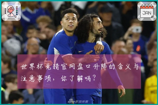 世界杯竞猜官网盘口升降的含义与注意事项，你了解吗？