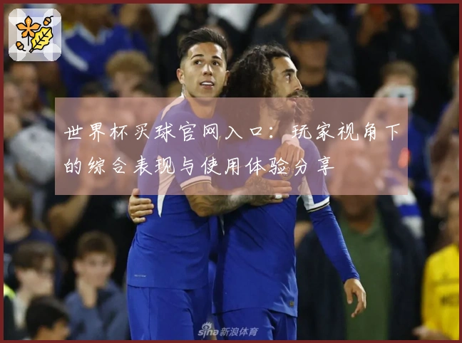 世界杯买球官网入口：玩家视角下的综合表现与使用体验分享