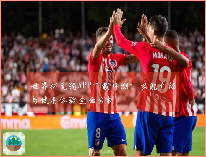 世界杯竞猜APP下载评测：功能介绍与使用体验全面分析