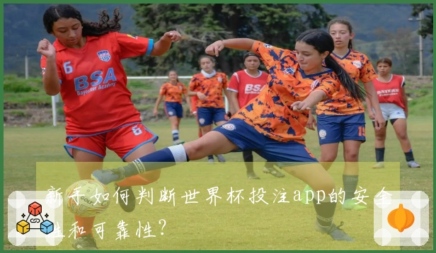 新手如何判断世界杯投注app的安全性和可靠性？