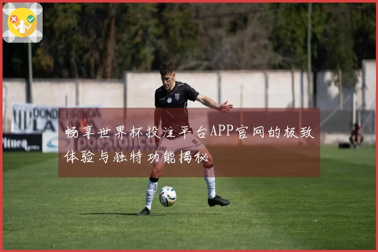 畅享世界杯投注平台APP官网的极致体验与独特功能揭秘