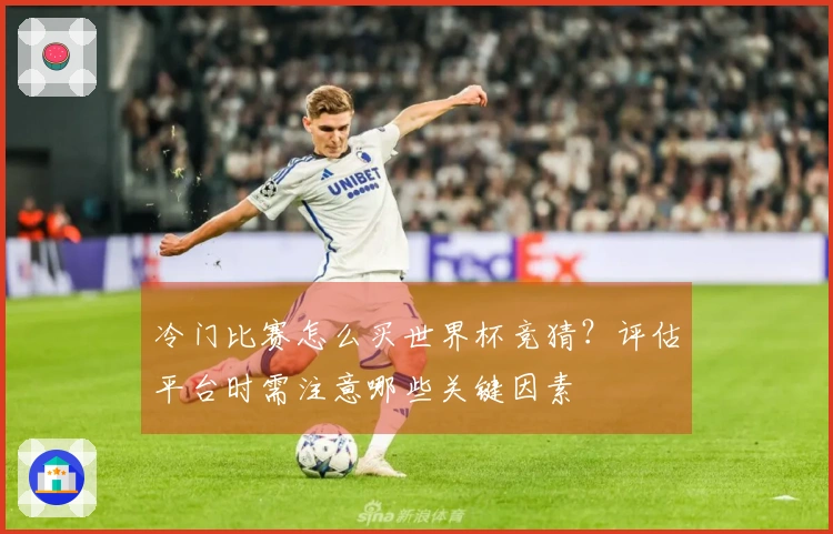 冷门比赛怎么买世界杯竞猜？评估平台时需注意哪些关键因素