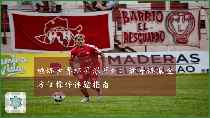 畅玩世界杯买球网址：新手玩家全方位操作体验指南